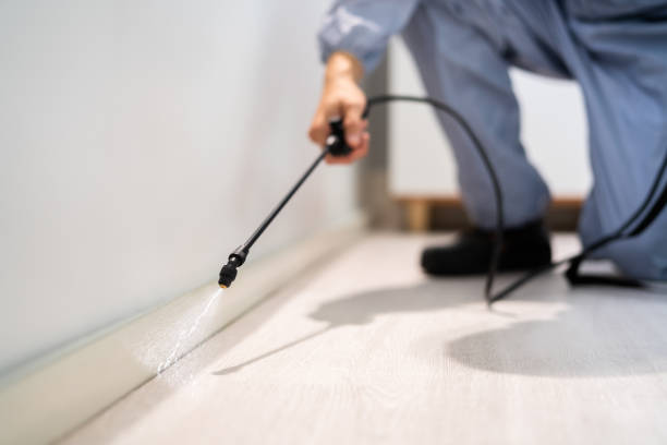 Certified termite inspector examining foundation in Johnsburg